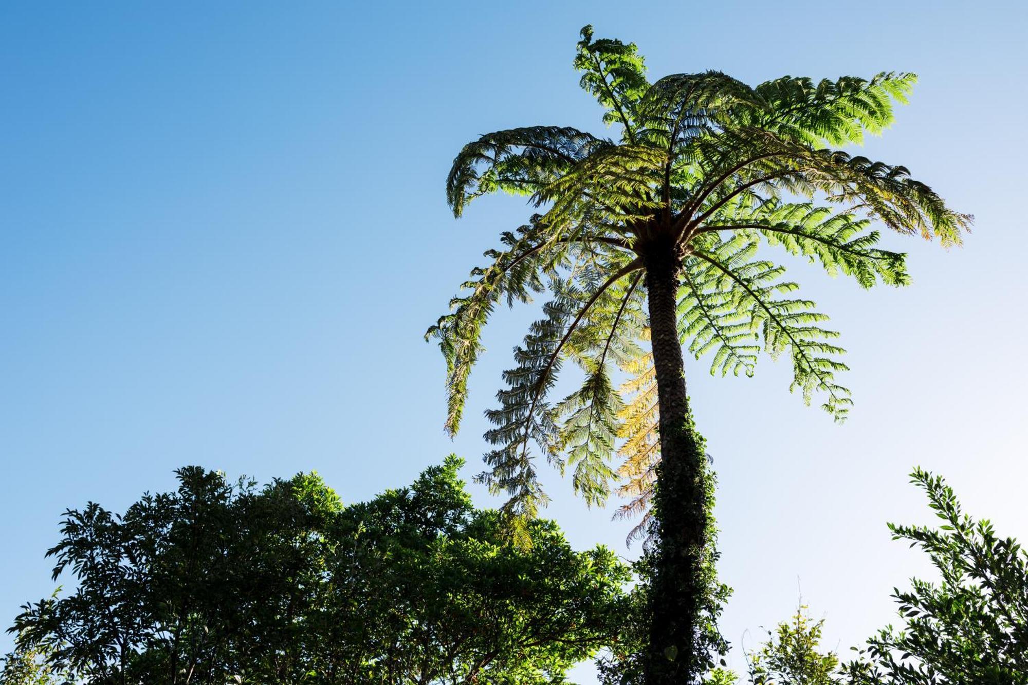 Coral Palms Ξενοδοχείο Suno Εξωτερικό φωτογραφία